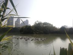 -艾溪湖湿地公园