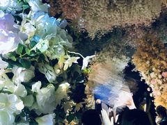 -菜香源·醉湖美宴(杨家坪店)