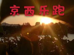 -永定河休闲森林公园