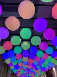 点击看大图 -宝燕乐园(闵行旗舰店)