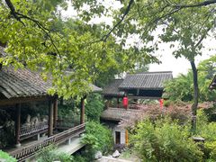 -中国茶叶博物馆(双峰馆区)