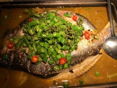 -探鱼·鲜青椒爽麻烤鱼(西南商都店)