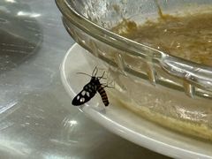 -阿伍海鲜大排档(塔湾金沙店)