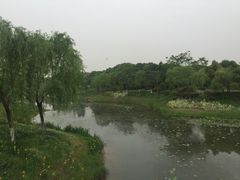 -尚贤河湿地