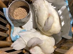 -馬蘭花開(车站大道店)