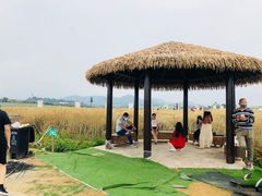 -光明小镇欢乐田园
