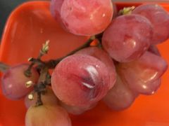 -马陆小张葡萄园农家乐