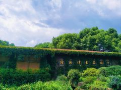-中国茶叶博物馆(双峰馆区)