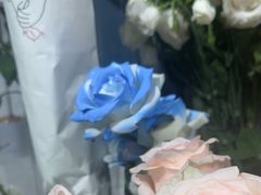 -FEI FEI FLOWER鲜花店·气球派对·宝宝宴布置(虹口德必运动Loft店)
