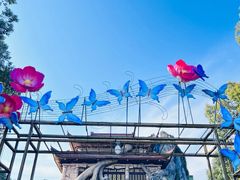 -横店影视城梦幻谷园区