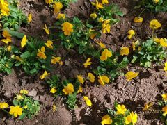 -长春公园(普阳街道)