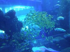 -成都浩海立方海洋公园