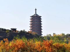 -永定河休闲森林公园