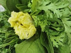 -草原传奇鲜羊火锅(桥北店)