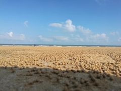 -日照灯塔风景区