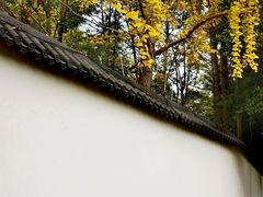 -正兴张血旺