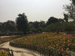 -秀丽东方