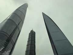 -上海柏悦酒店·世纪100牛排馆