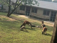 -西安秦岭野生动物园