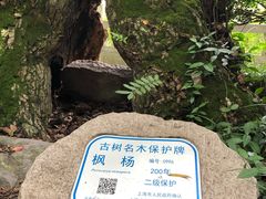 -汇龙潭