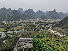 -明仕田园