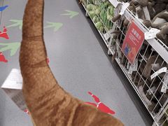 -宜家家居(哈尔滨商场店)