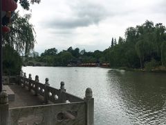 -Dr.Z dental仁康种植矫正中心