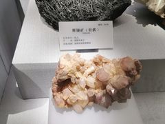 -湖南省地质博物馆