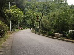 -火炉山森林公园