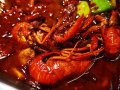 -锅来乐地锅鸡(安亭店)