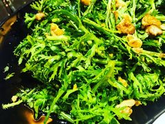 凉拌茼蒿-五观堂素食(新华路店)