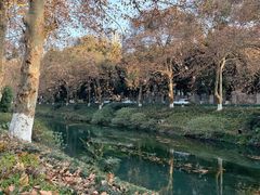 -成都市活水公园