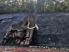 -哈尔滨北方森林动物园