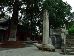 -大觉寺-停车场