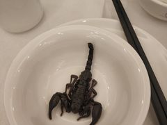 -山泉公馆酒家(珠江新城店)