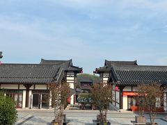-大唐贡茶院