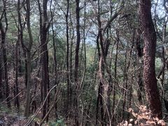 -穹窿山景区