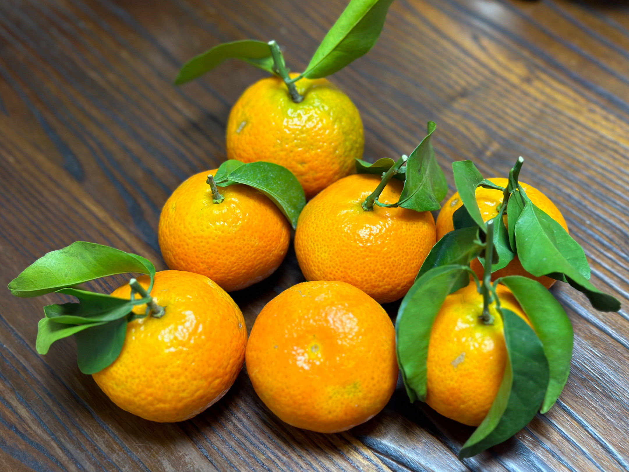 水果|云南 大理宾川 金秋沙糖桔🍊