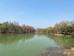 -东湖落雁景区