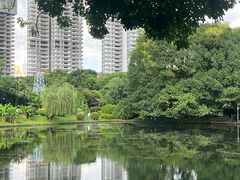 -晓港公园