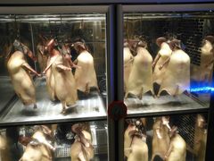 -新兴家喻酒家·羊城名宴(昌岗店)