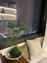 -唯奈斯肌肤管理中心