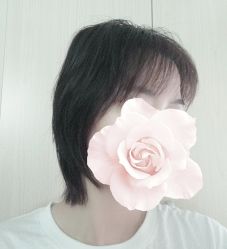 点击看大图 -MY HAIR ARDOR