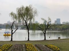 -黄兴公园