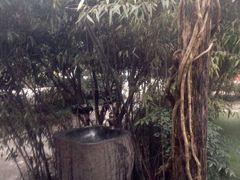 景观位-旅马餐厅(茅家埠店)