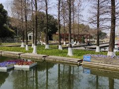 -圩墩遗址公园