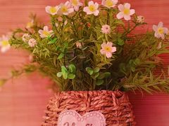 -泰妃殿(新世界旗舰店)