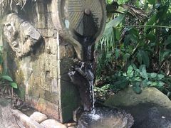-呀诺达热带雨林