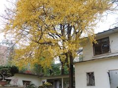 -湖南烈士公园(芙蓉区)