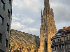 -斯蒂芬主教座堂(Stephansdom)